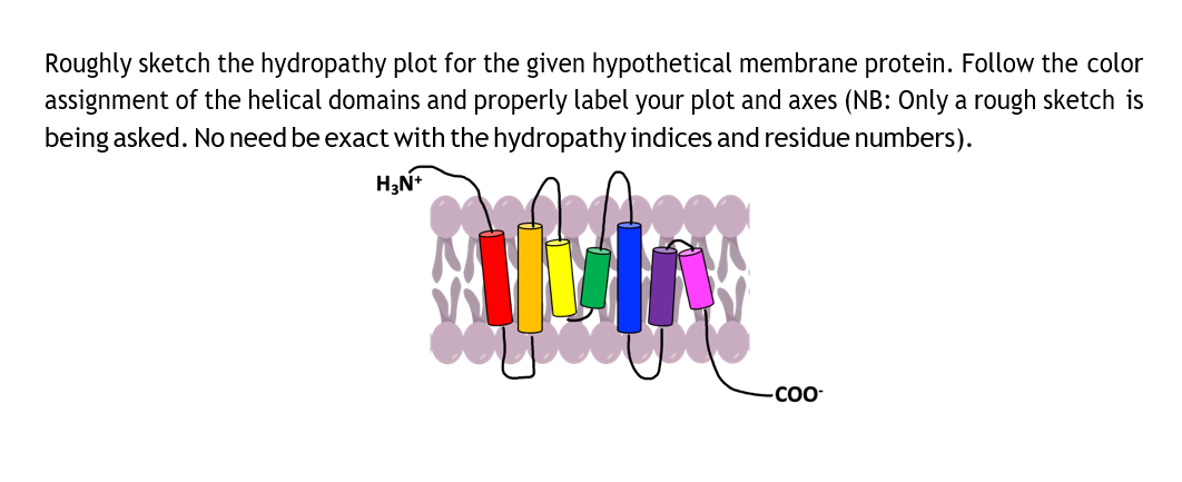 Roughly sketch the hydropathy plot for the given hypothetical membrane protein. Follow the color
assignment of the helical domains and properly label your plot and axes (NB: Only a rough sketch is
being asked. No need be exact with the hydropathy indices and residue numbers).
CO-
