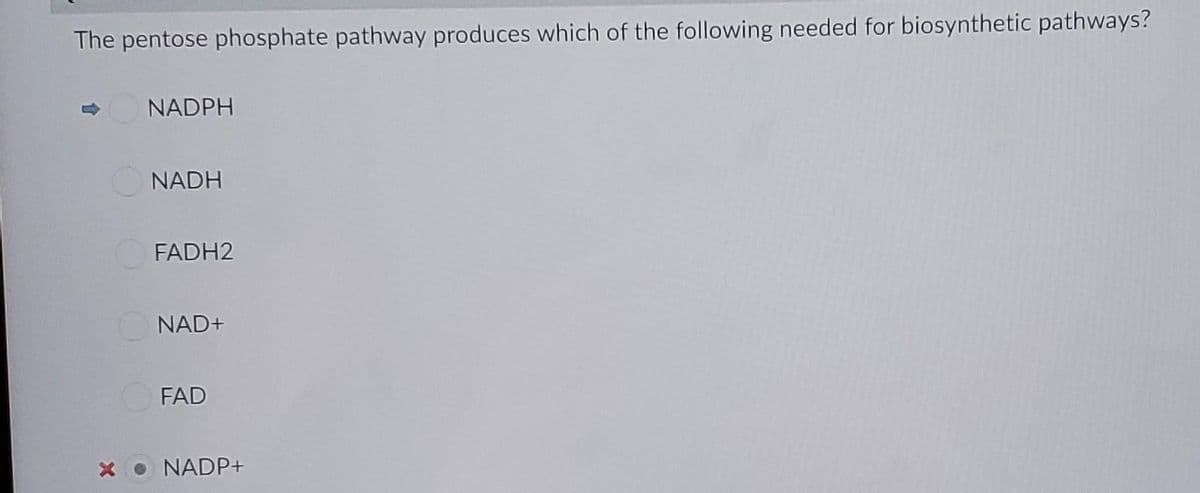 The pentose phosphate pathway produces which of the following needed for biosynthetic pathways?
NADPH
O NADH
FADH2
NAD+
FAD
NADP+
