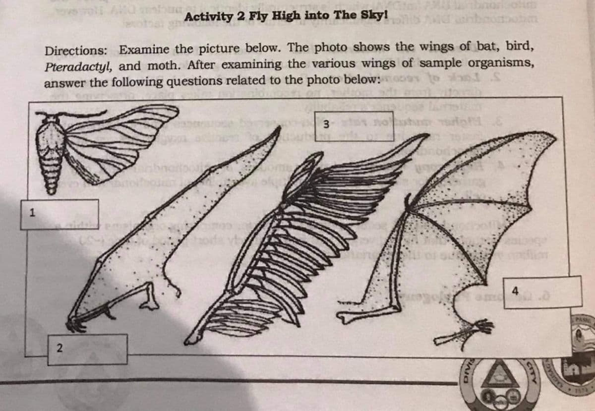 Activity 2 Fly High into The Sky!
Directions: Examine the picture below. The photo shows the wings of bat, bird,
Pteradactyl, and moth. After examining the various wings of sample organisms,
answer the following questions related to the photo below:
3.
1
1573

