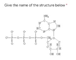 Give the name of the structure below
NH,
CH
0-P-0-P-0-P-0- CH
H
он он
