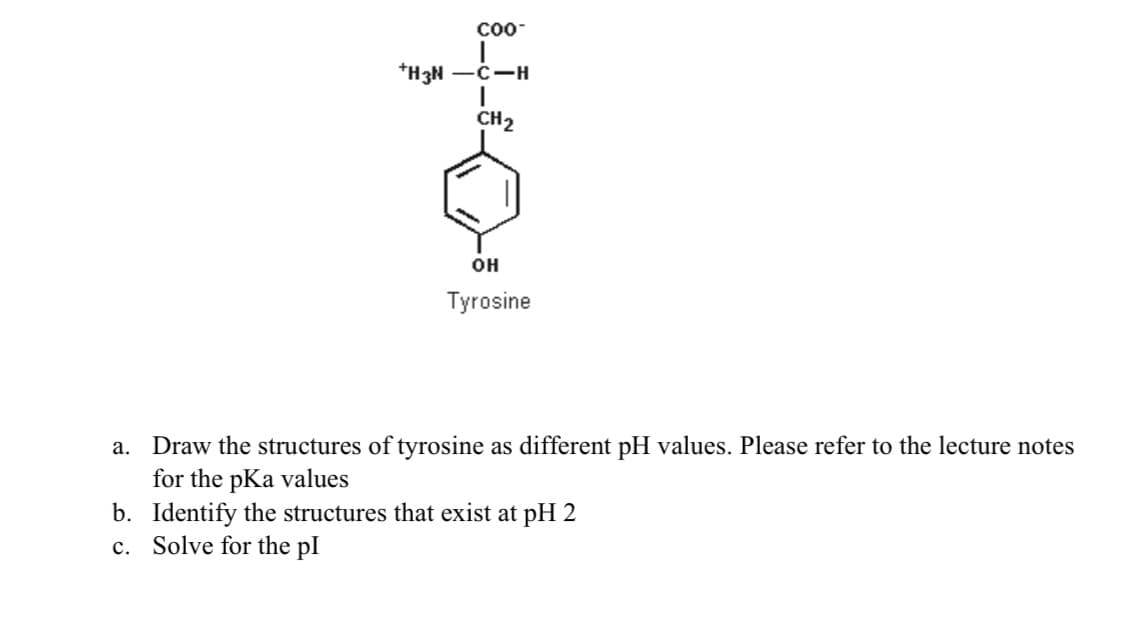 Co0-
*H3N -C-H
CH2
OH
Tyrosine
a. Draw the structures of tyrosine as different pH values. Please refer to the lecture notes
for the pKa values
b. Identify the structures that exist at pH 2
c. Solve for the pl
