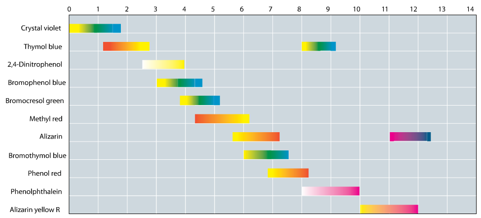 Crystal violet
Thymol blue
2,4-Dinitrophenol
Bromophenol blue
Bromocresol green
Methyl red
Alizarin
Bromothymol blue
Phenol red
Phenolphthalein
Alizarin yellow R
0 1 2 3
4 5 6 7 8 9 10
11 12
13
14