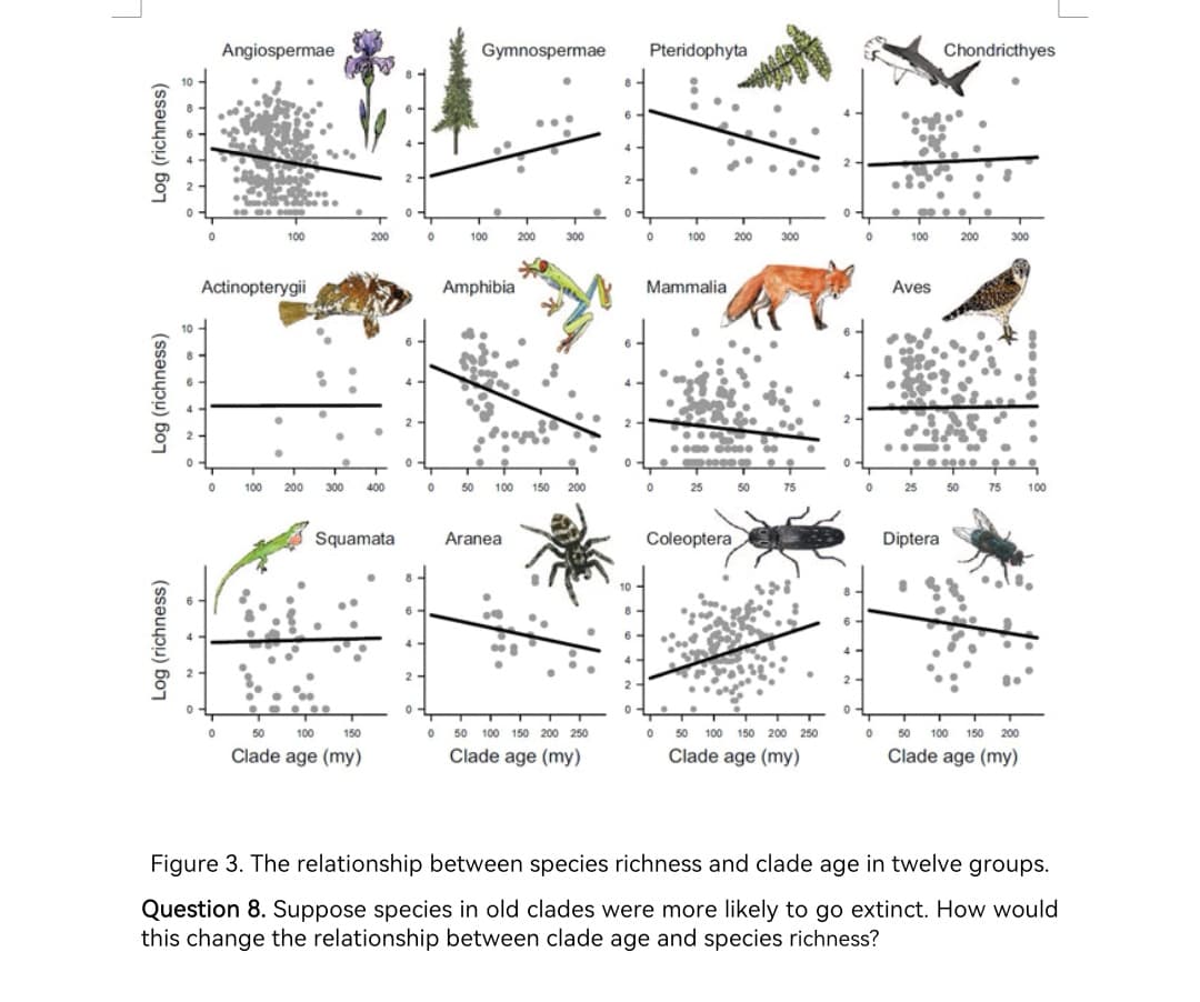 L
Gymnospermae
100
200
100 200 300
Amphibia
0 50 100 150 200
0 25 50 75 100
Aranea
Diptera
50
100
150
50 100 150 200 250
50 100 150 200 250
050 100 150 200
Clade age (my)
Clade age (my)
Clade age (my)
Clade age (my)
Figure 3. The relationship between species richness and clade age in twelve groups.
Question 8. Suppose species in old clades were more likely to go extinct. How would
this change the relationship between clade age and species richness?
Log (richness)
Log (richness)
Log (richness)
Angiospermae
0
100
Actinopterygii
●
•
0100 200
0
200
●
●
T
300
400
Squamata
0
2.
0
6
0
0
0
300
4
2
0
2
0
4
2-
0
Pteridophyta
200
0
100
Mammalia
● 000 00
0
25
Coleoptera
0
300
50 75
2
2
0
Aves
Chondricthyes