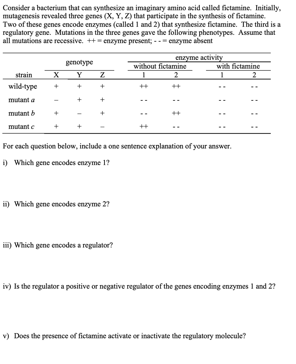 Consider a bacterium that can synthesize an imaginary amino acid called fictamine. Initially,
mutagenesis revealed three genes (X, Y, Z) that participate in the synthesis of fictamine.
Two of these genes encode enzymes (called 1 and 2) that synthesize fictamine. The third is a
regulatory gene. Mutations in the three genes gave the following phenotypes. Assume that
all mutations are recessive. ++ = enzyme present; - - = enzyme absent
enzyme activity
genotype
without fictamine
with fictamine
1
2
strain
X
Y
Z
1
2
wild-type +
+
+
++
++
mutant a
+
+
mutant b
+
+
++
mutant c
+
+
++
For each question below, include a one sentence explanation of your answer.
i) Which gene encodes enzyme 1?
ii) Which gene encodes enzyme 2?
iii) Which gene encodes a regulator?
iv) Is the regulator a positive or negative regulator of the genes encoding enzymes 1 and 2?
v) Does the presence of fictamine activate or inactivate the regulatory molecule?
1
1