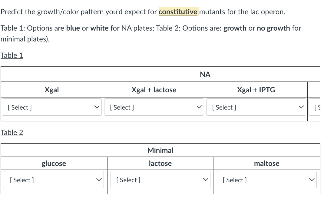 Predict the growth/color pattern you'd expect for constitutive mutants for the lac operon.
Table 1: Options are blue or white for NA plates; Table 2: Options are: growth or no growth for
minimal plates).
Table 1
ΝΑ
Xgal + lactose
Xgal + IPTG
[S
Minimal
lactose
[Select]
Table 2
[Select]
Xgal
glucose
[Select]
[Select]
[Select]
[Select]
maltose