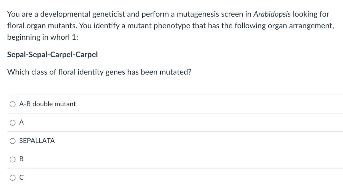 You are a developmental geneticist and perform a mutagenesis screen in Arabidopsis looking for
floral organ mutants. You identify a mutant phenotype that has the following organ arrangement,
beginning in whorl 1:
Sepal-Sepal-Carpel-Carpel
Which class of floral identity genes has been mutated?
A-B double mutant
O A
O
SEPALLATA
B
с