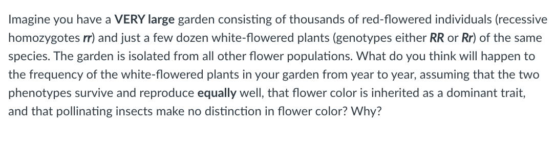 Imagine you have a VERY large garden consisting of thousands of red-flowered individuals (recessive
homozygotes rr) and just a few dozen white-flowered plants (genotypes either RR or Rr) of the same
species. The garden is isolated from all other flower populations. What do you think will happen to
the frequency of the white-flowered plants in your garden from year to year, assuming that the two
phenotypes survive and reproduce equally well, that flower color is inherited as a dominant trait,
and that pollinating insects make no distinction in flower color? Why?
