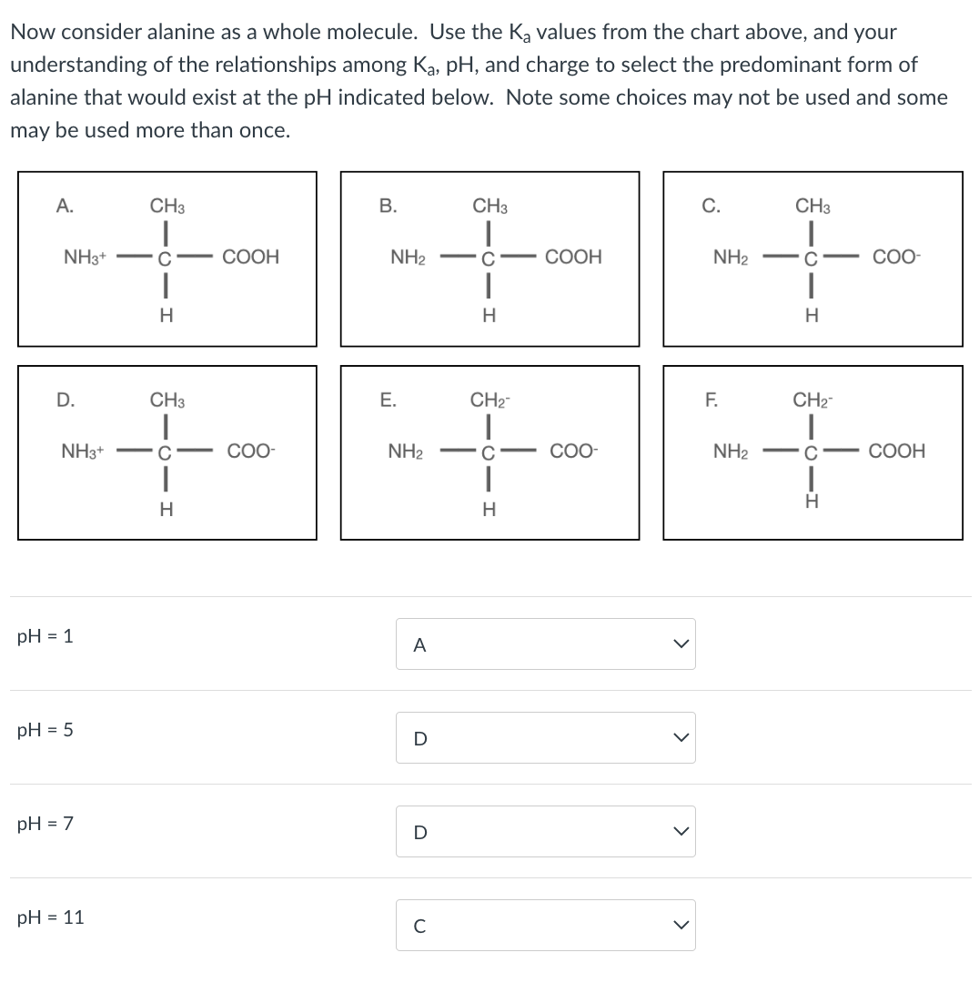 Now consider alanine as a whole molecule. Use the Ką values from the chart above, and your
understanding of the relationships among Ka, pH, and charge to select the predominant form of
alanine that would exist at the pH indicated below. Note some choices may not be used and some
may be used more than once.
A.
NH3+
D.
NH3+
pH = 1
pH = 5
CH3
I
C
H
pH = 7
pH = 11
CH3
+
C
I
H
COOH
COO-
B.
NH₂
E.
CH₂™
*-+000
COO-
H
NH₂
A
D
CH3
+
C
|
H
с
COOH
C.
NH₂
F.
NH₂
CH3
+
- C
H
CH₂™
H
COO-
COOH