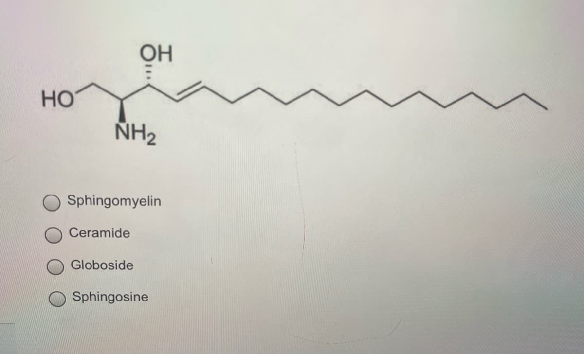 OH
HO
NH2
Sphingomyelin
Ceramide
Globoside
Sphingosine
