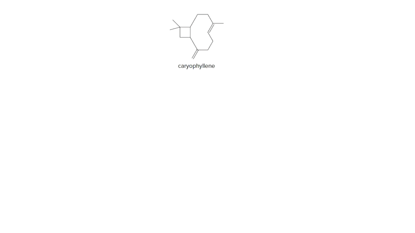 caryophyllene
