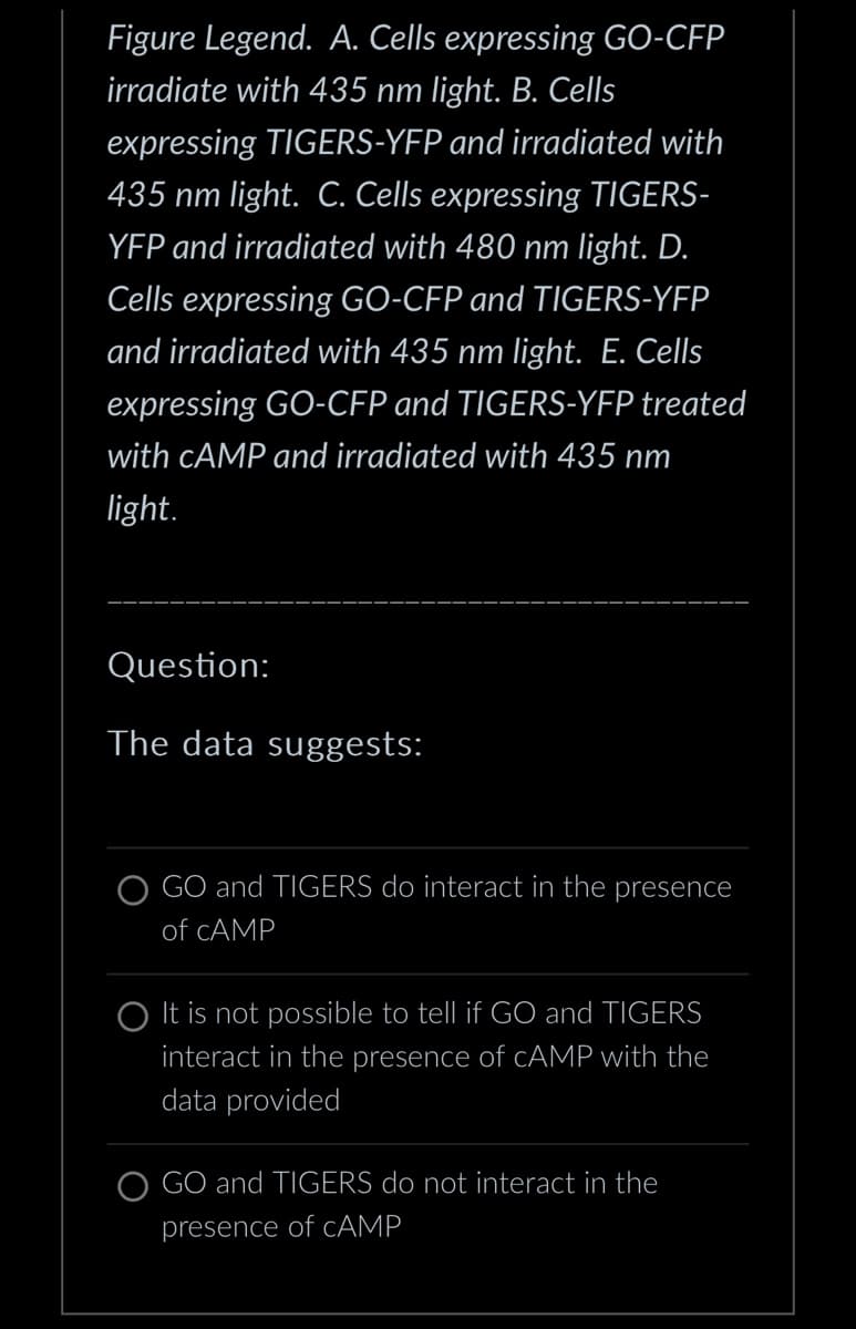 Figure Legend. A. Cells expressing GO-CFP
irradiate with 435 nm light. B. Cells
expressing TIGERS-YFP and irradiated with
435 nm light. C. Cells expressing TIGERS-
YFP and irradiated with 480 nm light. D.
Cells expressing GO-CFP and TIGERS-YFP
and irradiated with 435 nm light. E. Cells
expressing GO-CFP and TIGERS-YFP treated
with CAMP and irradiated with 435 nm
light.
Question:
The data suggests:
GO and TIGERS do interact in the presence
of CAMP
O It is not possible to tell if GO and TIGERS
interact in the presence of cAMP with the
data provided
GO and TIGERS do not interact in the
presence of CAMP