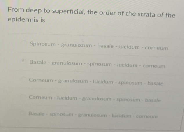 From deep to superficial, the order of the strata of the
epidermis is
Spinosum - granulosum - basale - lucidum - corneum
Basale - granulosum - spinosum - lucidum - corneum
Corneum - granulosum - lucidum - spinosum - basale
Corneum - lucidum - granulosum - spinosum - basale
Basale spinosum - granulosum - lucidum corneum
