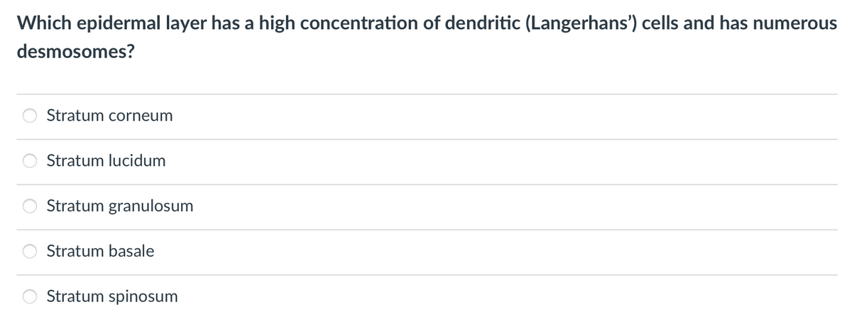 Which epidermal layer has a high concentration of dendritic (Langerhans') cells and has numerous
desmosomes?
Stratum corneum
Stratum lucidum
Stratum granulosum
Stratum basale
Stratum spinosum
