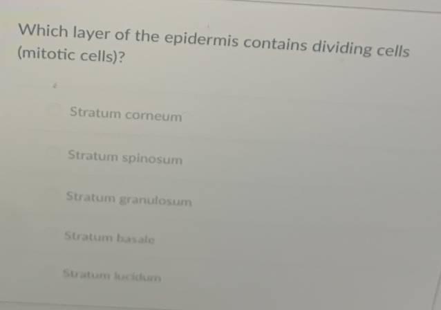 Which layer of the epidermis contains dividing cells
(mitotic cells)?
Stratum corneum
Stratum spinosum
Stratum granulosum
Stratum basale
Stratum lucidum
