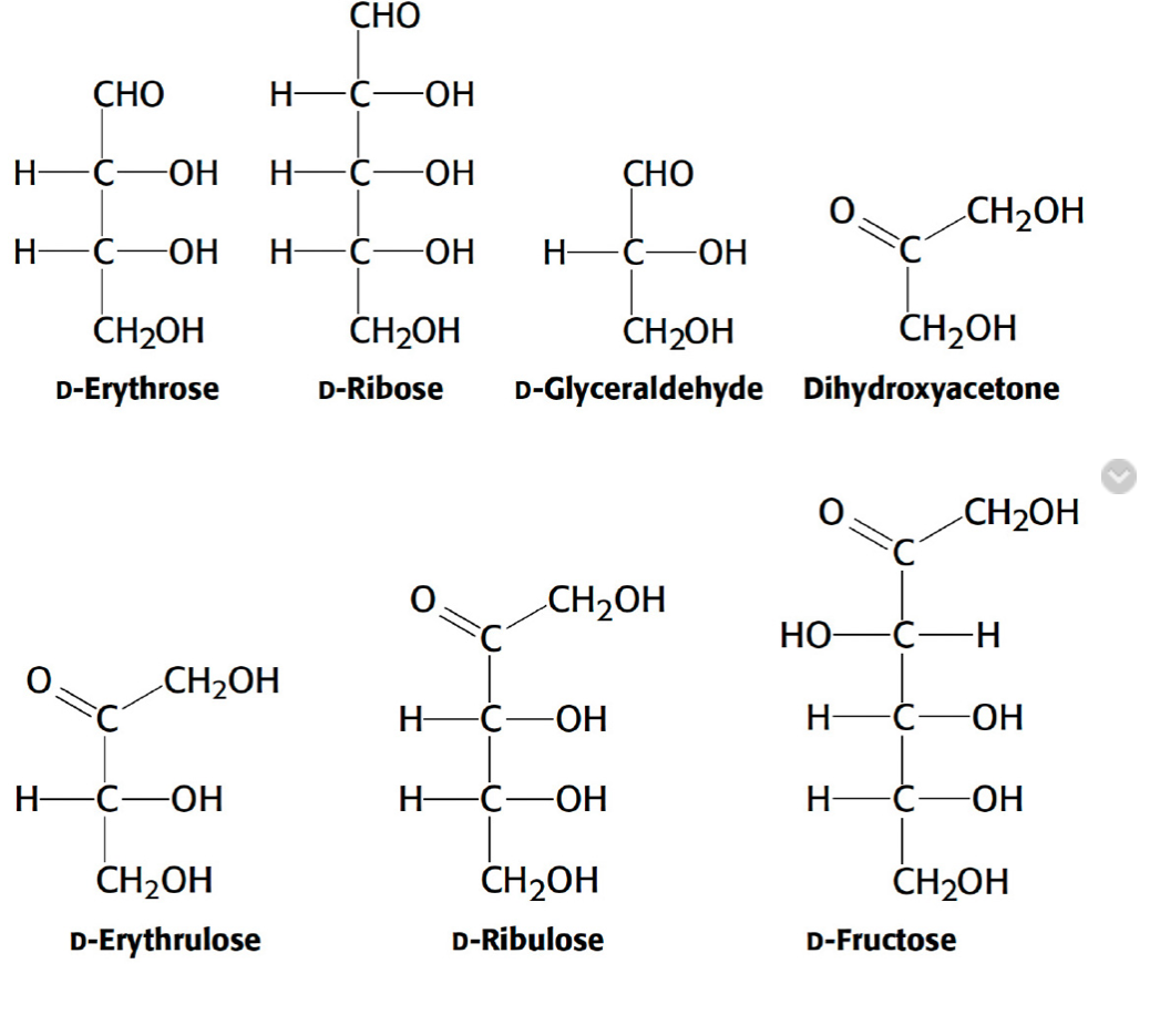 CHO
H- -C-OH
H-C-OH
CH₂OH
D-Erythrose
H-C-OH
CHO
H-C-OH
CH₂OH
CH₂OH
D-Erythrulose
H-C OH
H-C -ОН
CH₂OH
D-Ribose
H-
CHO
H-C-OH
H- -C-
CH₂OH
D-Glyceraldehyde
CH₂OH
C-OH
-OH
CH₂OH
D-Ribulose
CH₂OH
Dihydroxyacetone
HO-
H- C
H-
CH₂OH
-H
-ОН
·C· -ОН
CH₂OH
D-Fructose
CH₂OH