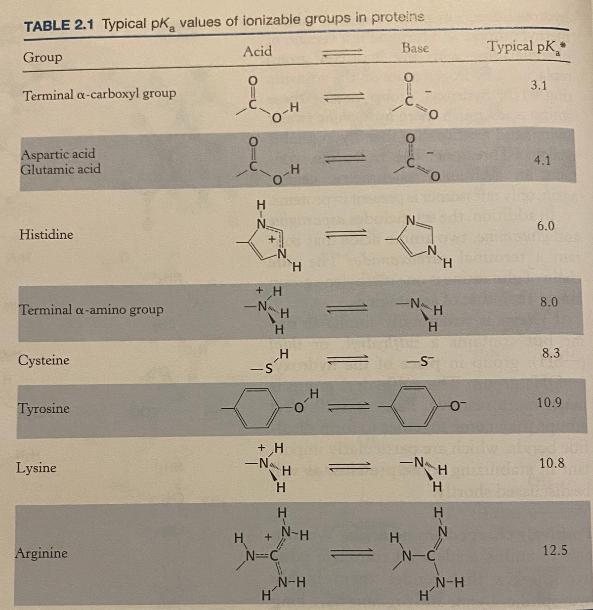TABLE 2.1 Typical pK values of ionizable groups in proteins
Group
Terminal a-carboxyl group
Aspartic acid
Glutamic acid
Histidine
Terminal a-amino group
Cysteine
Tyrosine
Lysine
Arginine
Acid
H-N
H
N.
-N
O-H
O
+
+ H
-N
-S
-N
D...
H
H
+ H
H
H
Ilm.
N=C
H
H
H
H
H
+ N-H
O
N-H
H
Base
O
H
C=O
O
1
<=0
N.
-N
-NH
H
-S
H
N-C
H
-O
sors doidw
-N
-Homicilidsta
H
Typical pK *
N-H
3.1
4.1
6.0
8.0
8.3
10.9
10.8
12.5