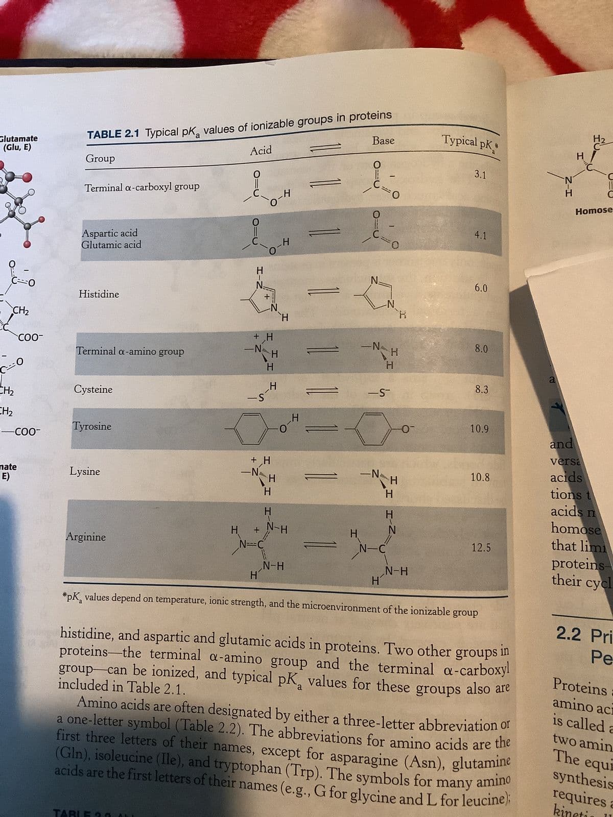Glutamate
(Glu, E)
C÷0
CH₂
CO
CH₂
CH₂
COO-
-COO-
mate
E)
TABLE 2.1 Typical pK values of ionizable groups in proteins
Group
Terminal a-carboxyl group
Aspartic acid
Glutamic acid
Histidine
Terminal a-amino group
Cysteine
Tyrosine
Lysine
Arginine
H
Acid
0
-N
+ H
-S
-N
+
+
-N
N=C
H
+ H
...
H
H
H
H
H
-Н
H
H
H
H
O
N-H
1
N-H
H
H
Base
2
N₂
-N
-N
Bil
H
1
-
-N
FO
-S-
H
H
N-C
H
H
H
N
H
-0-
N-H
Typical pK
*pK values depend on temperature, ionic strength, and the microenvironment of the ionizable
3.1
4.1
6.0
8.0
8.3
10.9
10.8
12.5
group
histidine, and aspartic and glutamic acids in proteins. Two other groups in
proteins—the terminal a-amino group and the terminal a-carboxyl
group—can be ionized, and typical pK values for these groups also are
included in Table 2.1.
Amino acids are often designated by either a three-letter abbreviation of
a one-letter symbol (Table 2.2). The abbreviations for amino acids are the
first three letters of their names, except for asparagine (Asn), glutamine
(Gln), isoleucine (Ile), and tryptophan (Trp). The symbols for
acids are the first letters of their names (e.g., G for glycine and L for leucine);
many amino
a
Z-H
H
Homose
and
versa
acids
tions t
acids n
homose
that limi
proteins
their cycl
2.2 Pri
Pe
Proteins a
amino ac
is called a
two amin
The equi
synthesis
requires a
kineti