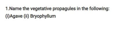 1.Name the vegetative propagules in the following:
(i) Agave (ii) Bryophyllum