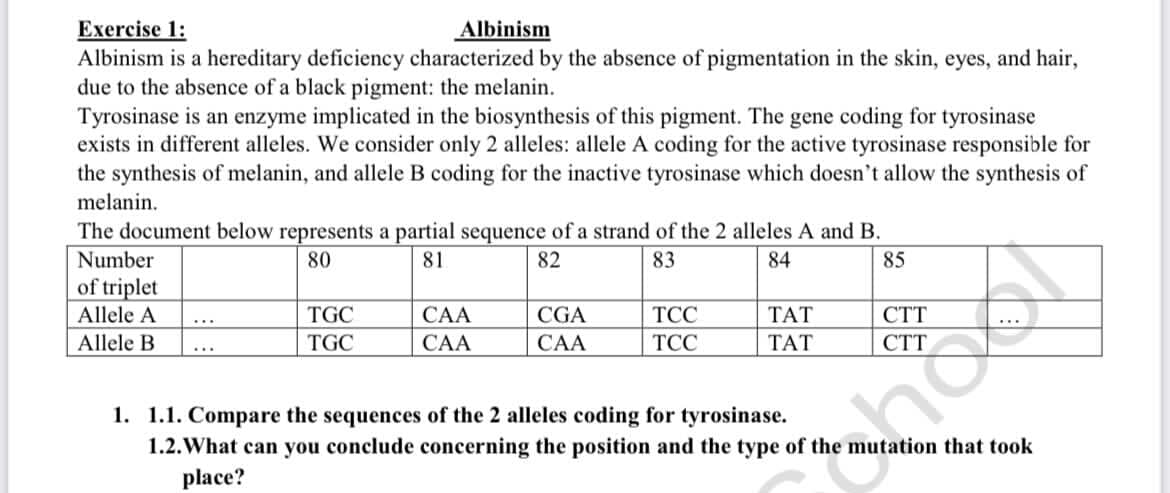 Exercise 1:
Albinism is a hereditary deficiency characterized by the absence of pigmentation in the skin, eyes, and hair,
due to the absence of a black pigment: the melanin.
Tyrosinase is an enzyme implicated in the biosynthesis of this pigment. The gene coding for tyrosinase
exists in different alleles. We consider only 2 alleles: allele A coding for the active tyrosinase responsible for
the synthesis of melanin, and allele B coding for the inactive tyrosinase which doesn't allow the synthesis of
Albinism
melanin.
The document below represents a partial sequence of a strand of the 2 alleles A and B.
Number
80
81
82
83
84
85
of triplet
Allele A
TGC
САА
CGA
ТСС
ТАТ
Allele B
TGC
CAA
САА
ТСС
ТАТ
...
1. 1.1. Compare the sequences of the 2 alleles coding for tyrosinase.
1.2.What can you conclude concerning the position and the type of the mutation that took
place?
shotos
