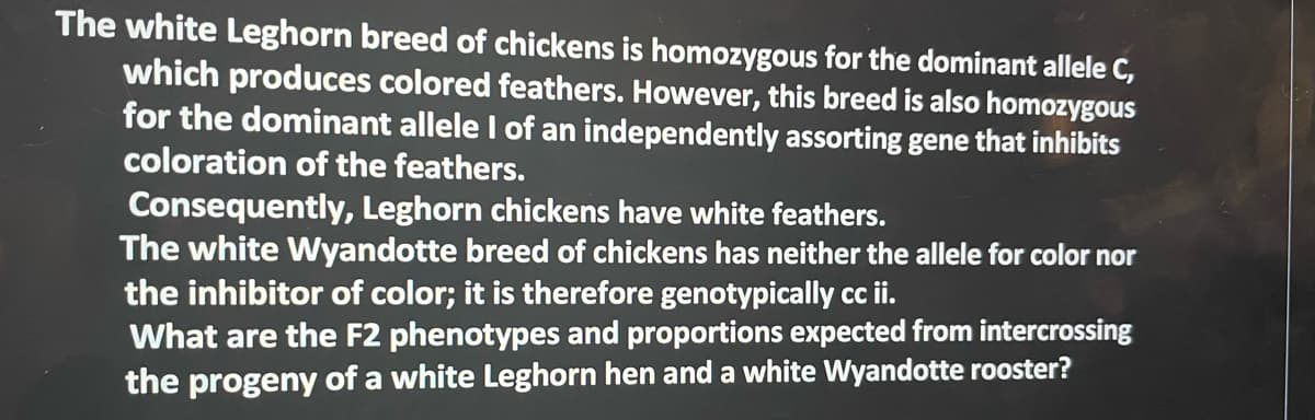 The white Leghorn breed of chickens is homozygous for the dominant allele C,
which produces colored feathers. However, this breed is also homozygous
for the dominant allele I of an independently assorting gene that inhibits
coloration of the feathers.
Consequently, Leghorn chickens have white feathers.
The white Wyandotte breed of chickens has neither the allele for color nor
the inhibitor of color; it is therefore genotypically cc ii.
What are the F2 phenotypes and proportions expected from intercrossing
the progeny of a white Leghorn hen and a white Wyandotte rooster?
