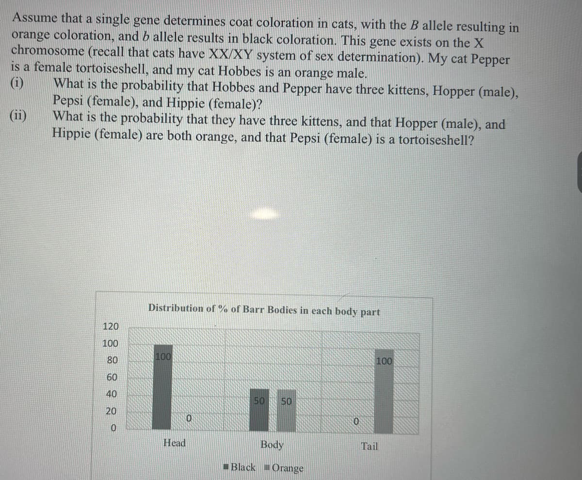 Assume that a single gene determines coat coloration in cats, with the B allele resulting in
orange coloration, and b allele results in black coloration. This gene exists on the X
chromosome (recall that cats have XX/XY system of sex determination). My cat Pepper
is a female tortoiseshell, and my cat Hobbes is an orange male.
(i)
What is the probability that Hobbes and Pepper have three kittens, Hopper (male),
Pepsi (female), and Hippie (female)?
What is the probability that they have three kittens, and that Hopper (male), and
Hippie (female) are both orange, and that Pepsi (female) is a tortoiseshell?
(ii)
Distribution of % of Barr Bodies in each body part
120
100
100
80
100
60
40
50
50
20
Head
Body
Tail
Black Orange
