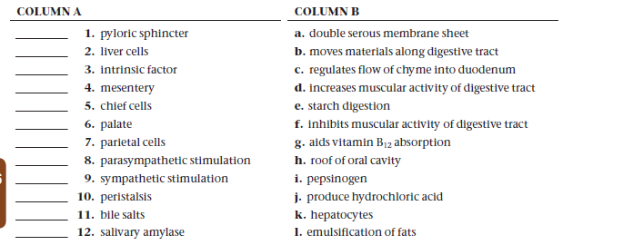 COLUMN A
COLUMN B
1. pyloric sphincter
a. double serous membrane sheet
b. moves materials along digestive tract
c. regulates flow of chy me into duodenum
2. liver cells
3. intrinsic factor
4. mesentery
d. increases muscular activity of digestive tract
e. starch digestion
f. inhibits muscular activity of digestive tract
5. chief cells
6. palate
7. parietal cells
g. aids vitamin B12 absorption
8. parasympathetic stimulation
h. roof of oral cavity
9. sympathetic stimulation
10. peristalsis
i. pepsinogen
j. produce hydrochloric acid
11. bile salts
k. hepatocytes
1. emulsification of fats
12. salivary amylase
