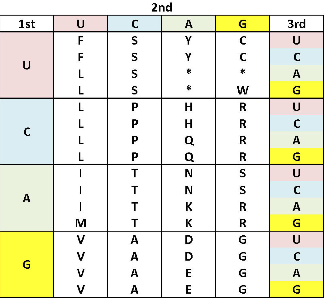 2nd
1st
A
3rd
Y
F
Y
U
*
L
A
K
D
G
5 U A G E U < GE U A G P U A G
* 3R B RRS SRRG OGO
H HO Ở z z Y
*
шш
S S P D PPt EEEA AAA
E> > > >
