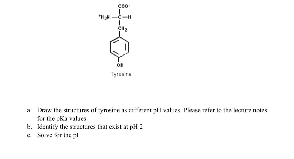 C00-
*H3N -C-H
CH2
он
Tyrosine
a. Draw the structures of tyrosine as different pH values. Please refer to the lecture notes
for the pKa values
b. Identify the structures that exist at pH 2
c. Solve for the pl
