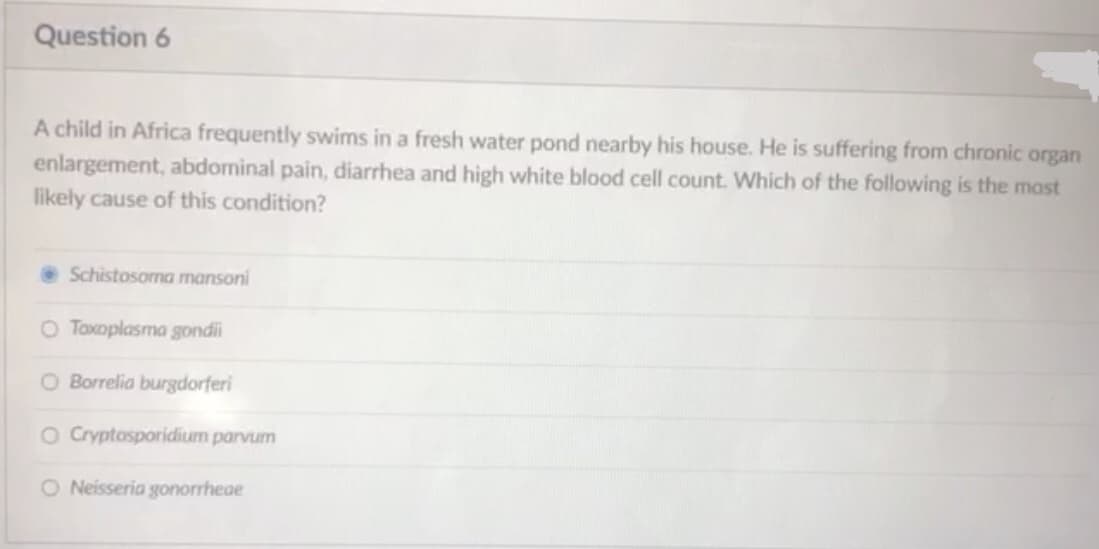 Question 6
A child in Africa frequently swims in a fresh water pond nearby his house. He is suffering from chronic organ
enlargement, abdominal pain, diarrhea and high white blood cell count. Which of the following is the most
likely cause of this condition?
Schistosoma mansoni
O Toxoplasma gondii
O Borrelia burgdorferi
O Cryptosporidium parvum
O Neisseria gonorrheae
