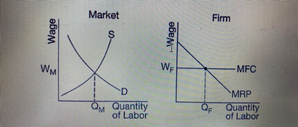 Market
Firm
S.
W
W-
-MFC
M
MRP
QM Quantity
QF
Quantity
"M.
of Labor
of Labor
Wage
RWage
