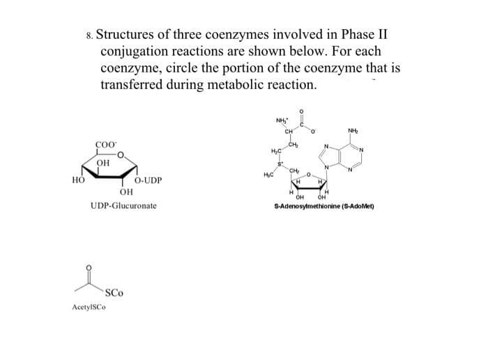 8. Structures of three coenzymes involved in Phase II
conjugation reactions are shown below. For each
coenzyme, circle the portion of the coenzyme that is
transferred during metabolic reaction.
NH"
CH
NH
COO
CH
он
CH
'N.
O-UDP
он
H
H
UDP-Glucuronate
S-Adenosylmethionine (S-AdoMet)
SCo
AcetyISCo
