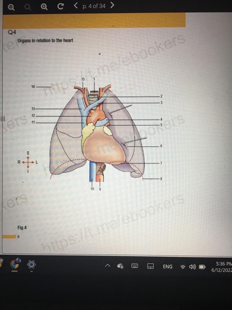 Q Q Q C < p. 4 of 34
Q4
Organs in relation to the heart
14
Kers
13
12
11
4.
Kers
Fig 4
8
L
https://t.me/ebookers
meborers
10
https://t.me/ebookers
www.
ENG
5:36 PM
6/12/2022