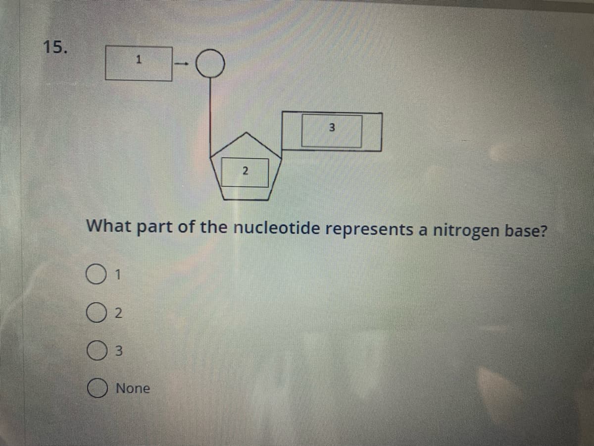 15.
2
1
3
-
What part of the nucleotide represents a nitrogen base?
O
01
None
2
3