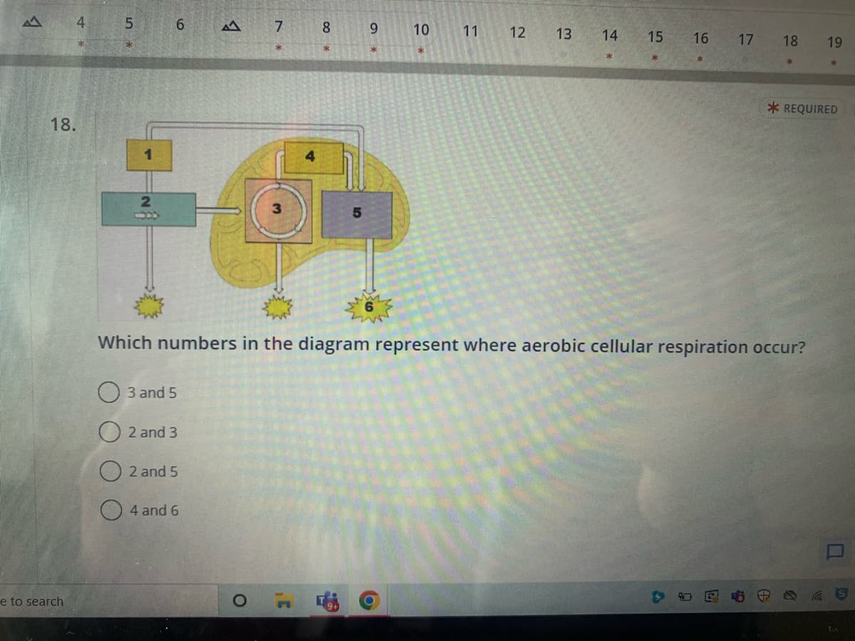 4
18.
e to search
In *
5
6
3 and 5
O2 and 3
2 and 5
ܠܬ
4 and 6
7
8
* 00
9
*6
10
11
12
13
14 15
Which numbers in the diagram represent where aerobic cellular respiration occur?
16 17
18
19
*REQUIRED
S