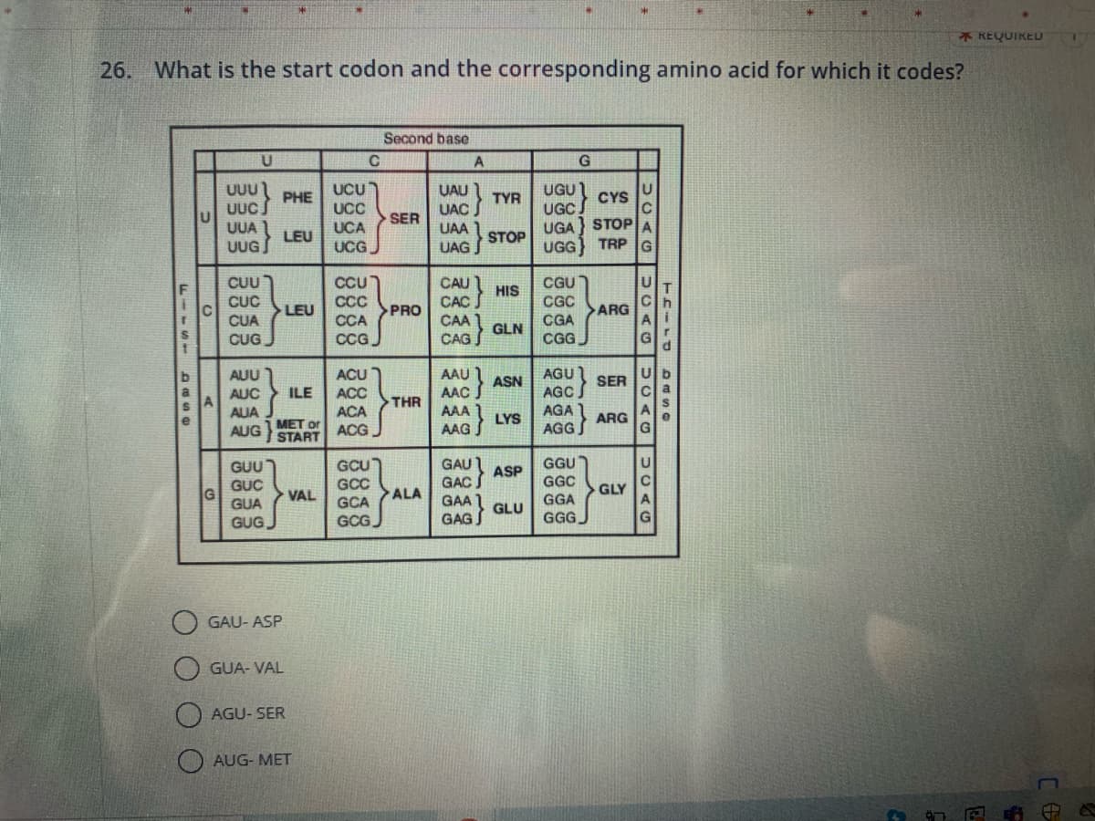 26. What is the start codon and the corresponding amino acid for which it codes?
FIISI DASO
U
G
UUU
UUC
UUA
U
CUU
CUC
CUA
CUG
AUA
AUG
GUU
GUC
GUA
GUG
PHE
AUU
AUC ILE
GAU-ASP
LEU
MET or
START
LEU
GUA-VAL
AGU-SER
VAL
AUG- MET
UCU
UCC
UCA
UCG
C
CCUT
CCC
CCA
CCG
ACU
ACC
ACA
ACG
GCU
GCC
GCA
GCG
Second base
SER
PRO
THR
ALA
UAU
UAC
UAA
UAG
CAU
CAC
CAA
CAG
A
GAUT
GAC
GAA 1
GAGJ
STOP
UGU
TYR
CYS
UGC
UGA STOP
UGG TRP G
HIS
GLN
AAC ASN
AAA
AAG J
LYS
ASP
GLU
G
CGU
CGC
CGA
CGGJ
AGU
AGC.
AGA
AGG
GGU
GGC
GGA
GGG
>ARG
SER
ARG
UCAG
GLY
UCAG
UCAG
UCAG
THILD DASO
REQUIRED
E
ce