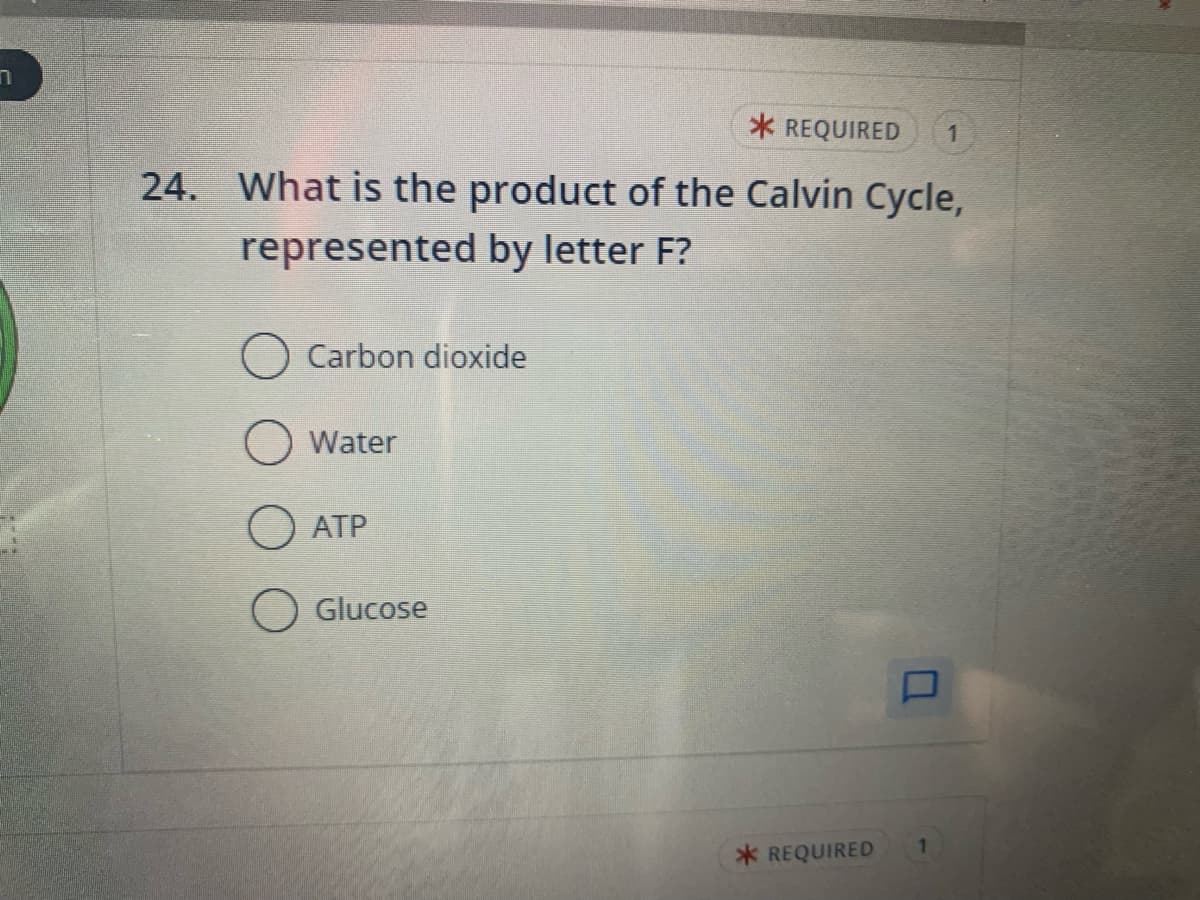 n
* REQUIRED 1
24. What is the product of the Calvin Cycle,
represented by letter F?
Carbon dioxide
Water
ATP
Glucose
*REQUIRED
1