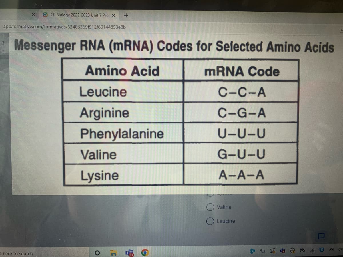 X ⒸCP Biology 2022-2023 Unit 7 Pro X +
app.formative.com/formatives/63403369f912f69144853e8b
3
Messenger RNA (mRNA) Codes for Selected Amino Acids
Amino Acid
mRNA Code
Leucine
C-C-A
Arginine
C-G-A
Phenylalanine
U-U-U
G-U-U
A-A-A
e here to search
Valine
Lysine
О
1¹
b
Valine
Leucine
3
a