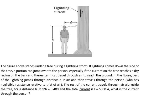 Lightning-
current
da
The figure above stands under a tree during a lightning storm. If lightning comes down the side of
the tree, a portion can jump over to the person, especially if the current on the tree reaches a dry
region on the bark and thereafter must travel through air to reach the ground. In the figure, part
of the lightning jumps through distance d in air and then travels through the person (who has
negligible resistance relative to that of air). The rest of the current travels through air alongside
the tree, for a distance h. If d/h = 0.400 and the total current is I = 5000 A, what is the current
through the person?