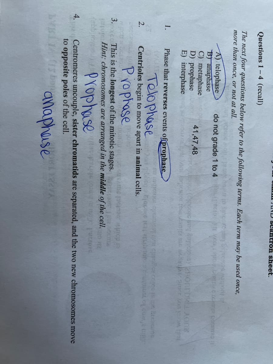 m AND scantron sheet.
Questions 1- 4 (recall)
The next four questions below refer to the following terms. Each term may be used once,
тore than опce, or not at all.
cro24 orit
A) telophase
B) anaphase
C) metaphase
D) prophase
E) interphase
do not grade 1 to 4
41,47,48
1.
Phase that reverses events of prophase.
Telophase
2.
Centrioles begin to move apart in animal cells.
nawoo lo rento
Prophase
This is the longest of the mitotic stages. ur
Hint: chromosomes are arranged in the middle of the cell.
3.
23 ot
(ebby
Propha se rs
Centromeres uncouple, sister chromatids are separated, and the two new chromosomes move
to opposite poles of the cell.
4.
anaphause
