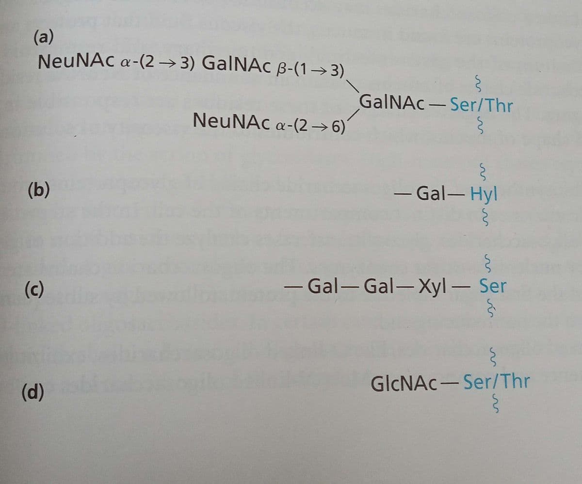 (a)
NeuNAC α-(2-3) GalNAc B-(1-3)
(b)
(c)
(d)
NeuNAc a-(26)
{
GalNAc-Ser/Thr
ş
§
- Gal-Hyl
{
{
- Gal-Gal-Xyl - Ser
{
GlcNAc-Ser/Thr
§