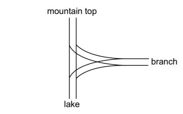 mountain top
branch
lake
