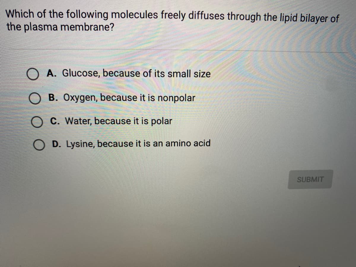 Which of the following molecules freely diffuses through the lipid bilayer of
the plasma membrane?
O A. Glucose, because of its small size
O B. Oxygen, because it is nonpolar
O C. Water, because it is polar
O D. Lysine, because it is an amino acid
SUBMIT
