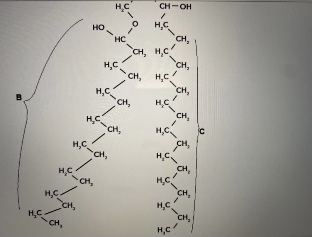 H,C
CH-OH
H,C
`CH,
Но
HC
CH, H.C
H,C
CH,
`CH,
H.C/
CH,
H.C
CH,
H,C
CH,
B
H,C
CH,
H,C.
H,C
CH2
CH,
H,C
CH,
H.c
CH,
H,C
CH,
HC
H,C
CH,
H.C.
CH,
H,C
CH,
