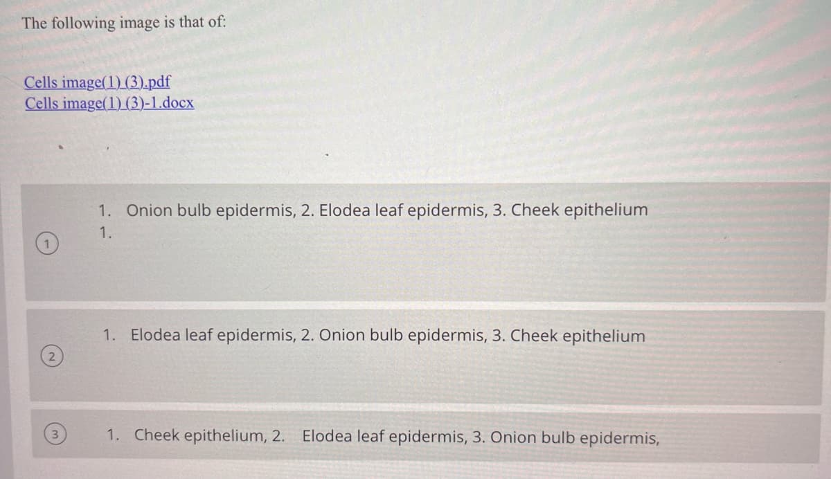The following image is that of:
Cells image(1) (3).pdf
Cells image(1) (3)-1.docx
2
1. Onion bulb epidermis, 2. Elodea leaf epidermis, 3. Cheek epithelium
1.
1. Elodea leaf epidermis, 2. Onion bulb epidermis, 3. Cheek epithelium
1. Cheek epithelium, 2. Elodea leaf epidermis, 3. Onion bulb epidermis,
