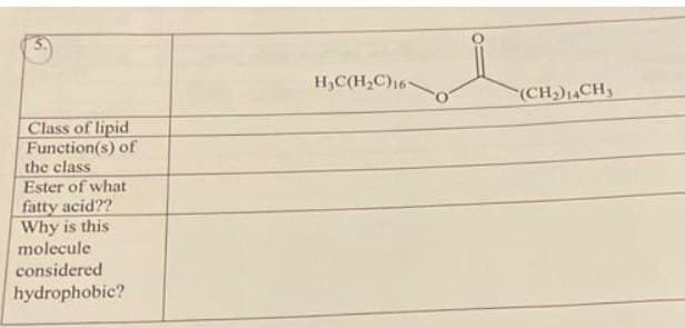 Class of lipid
Function(s) of
the class
Ester of what
fatty acid??
Why is this
molecule
considered
hydrophobic?
H₂C(H₂C)16-
(CH₂)14CH₂