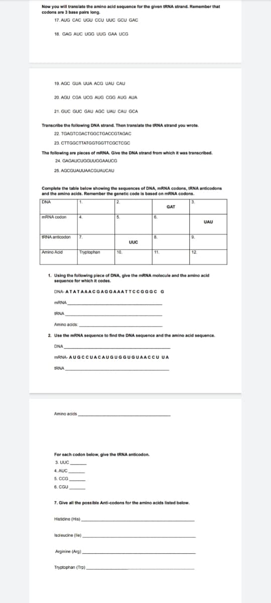 Now you will translate the amino acid sequence for the given tRNA strand. Remember that
codons are 3 base pairs long.
17. AUG CAC UGU CCU UUC GCU GAC
18. GAG AUC UGG UUG GAA UCG
19. AGC GUA UUA ACG UAU CAU
20. AGU CGA UCG AUG CGG AUG AUA
21. GUC GUC GAU AGC UAU CAU GCA
Transcribe the following DNA strand. Then translate the tRNA strand you wrote.
22. TGAGTCGACTGGCTGACCGTAGAC
23. СтTGGCTTATGGTGGTTCGCTсс
The following are pieces of mRNA. Give the DNA strand from which it was transcribed.
24. GAGAUCUGGUUGGAAUCG
25. AGCGUAUUAACGUAUCAU
Complete the table below showing the sequences of DNA, MRNA codons, tRNA anticodons
and the amino acids. Remember the genetic code is based on mRNA codons.
DNA
GAT
MRNA codon
5.
UAU
IRNA anticodon
7.
8.
9.
UUC
Amino Acid
Tryptophan
10.
11.
12.
1. Using the following piece of DNA, give the MRNA molecule and the amino acid
sequence for which it codes.
DNA- ATATAAACGAGGAAATTCCGGGC G
MRNA
IRNA
Amino acids:
2. Use the mRNA sequence to find the DNA sequence and the amino acid sequence.
DNA
MRNA- AUGCCUACAUGUGGUGUAACC UA
TRNA
Amino acids
For each codon below, give the tRNA anticodon.
3. UUC
4. AUC
5. CCG
6. CGU
7. Give all the possible Anti-codons for the amino acids listed below.
Histidine (His)
Isoleucine (lle)
Arginine (Arg)
Tryptophan (Trp)
