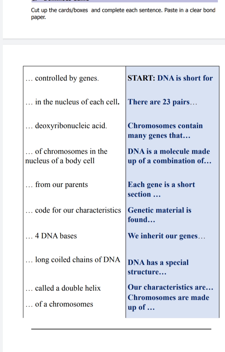 Cut up the cards/boxes and complete each sentence. Paste in a clear bond
раper.
controlled by genes.
START: DNA is short for
in the nucleus of each cell.
There are 23 pairs.…
...
. deoxyribonucleic acid.
Chromosomes contain
many genes that.…..
of chromosomes in the
DNA is a molecule made
...
nucleus of a body cell
up of a combination of...
from our parents
Each gene is a short
section ...
code for our characteristics Genetic material is
found...
4 DNA bases
We inherit our genes.
long coiled chains of DNA DNA has a special
structure...
called a double helix
Our characteristics are….
Chromosomes are made
of a chromosomes
up of ...
