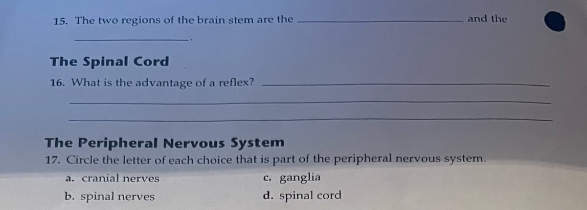15. The two regions of the brain stem are the
The Spinal Cord
16. What is the advantage of a reflex?
and the
The Peripheral Nervous System
17. Circle the letter of each choice that is part of the peripheral nervous system.
a. cranial nerves
c. ganglia
b. spinal nerves
d. spinal cord