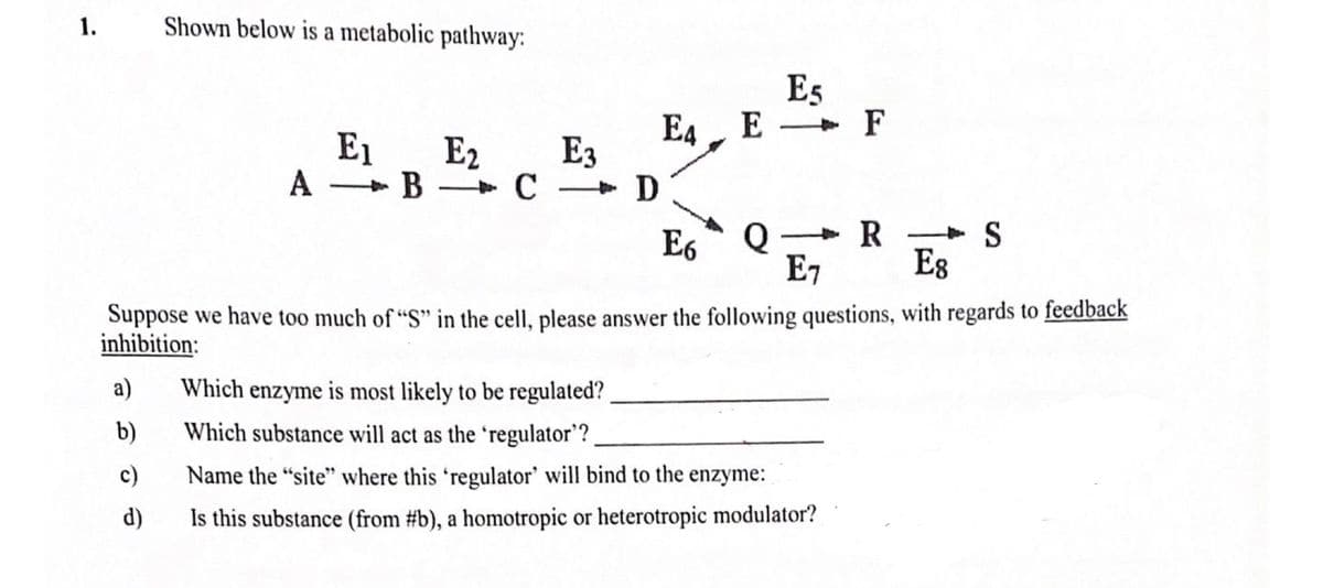 1.
Shown below is a metabolic pathway:
Es
E
E4
E1
E2
A - B » C + D
E3
E6
Q-R - S
E7
Es
Suppose we have too much of "S" in the cell, please answer the following questions, with regards to feedback
inhibition:
a)
Which enzyme is most likely to be regulated?
b)
Which substance will act as the 'regulator'?
c)
Name the "site" where this 'regulator' will bind to the enzyme:
d)
Is this substance (from #b), a homotropic or heterotropic modulator?
