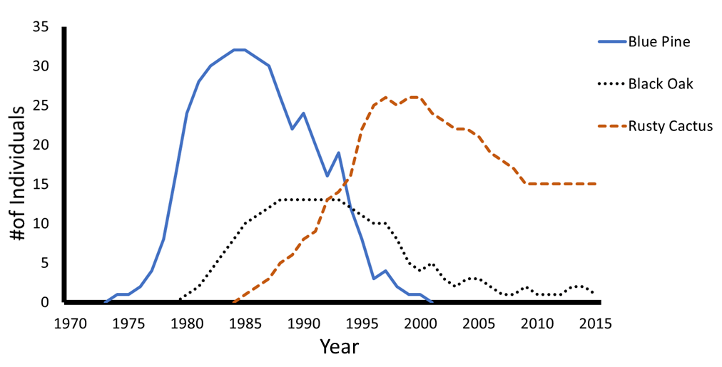 #of Individuals
35
30
25
20
15
5
1970
1975
1980
1985 1990 1995 2000 2005
Year
Blue Pine
..... Black Oak
2010 2015
Rusty Cactus